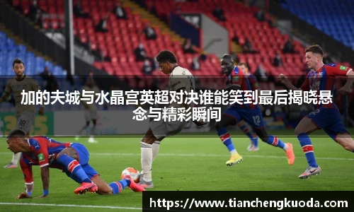 加的夫城与水晶宫英超对决谁能笑到最后揭晓悬念与精彩瞬间
